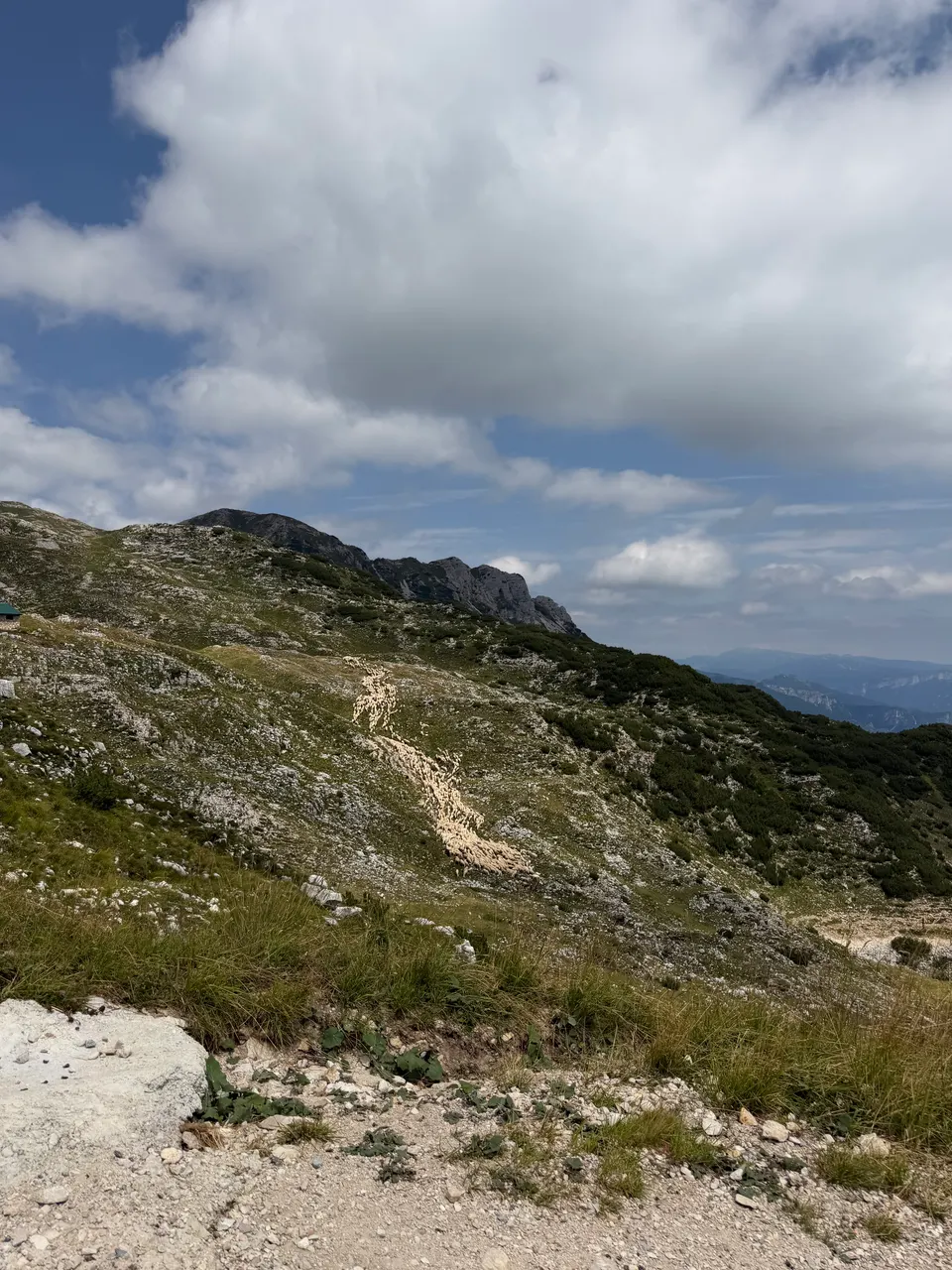 Rifugio Achille Papa